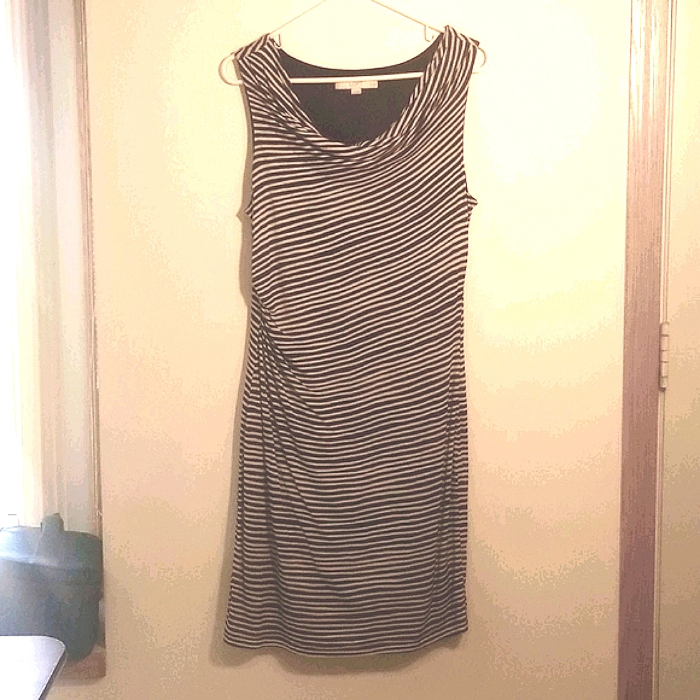 Loft petite lined knit dress